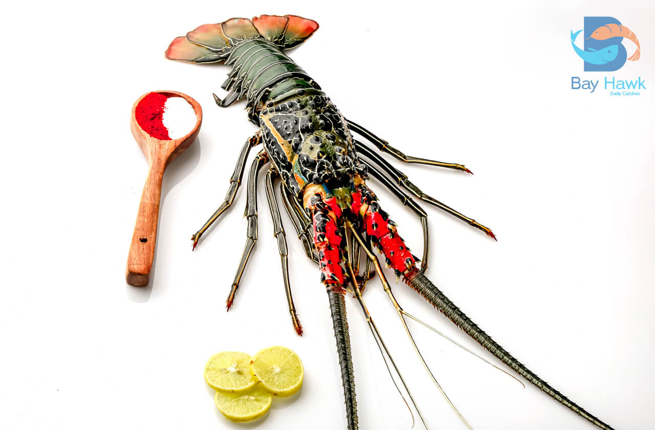 Prawn, Seafood