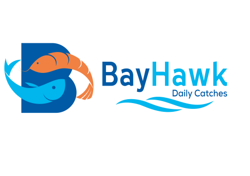 newbayhawklogo